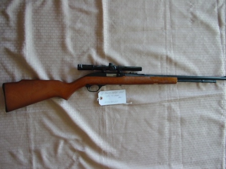 50 GUNS & AMMO AUCTION